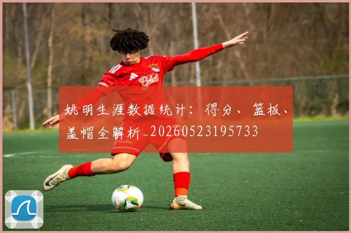 姚明生涯数据统计：得分、篮板、盖帽全解析_20260523195733